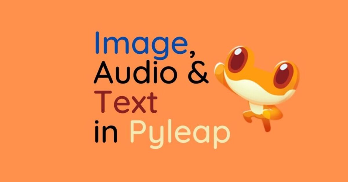 multimedia in pyleap