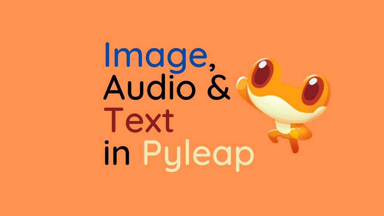 multimedia in pyleap